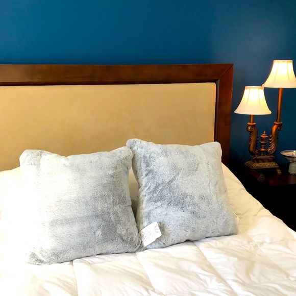 Bed Bath & Beyond Other - Pair of pillows. Bed, Bath & Beyond throw pillows. Powder blue. Pillow and cover